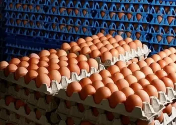 Screenshot 20210106 112229 galleryjpg 1140x641