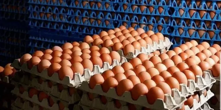 Screenshot 20210106 112229 galleryjpg 1140x641