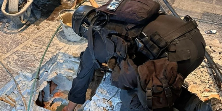 Image 361 1140x617