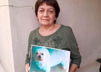 Inseguridad robo auto perro barrio san salvador cordoba