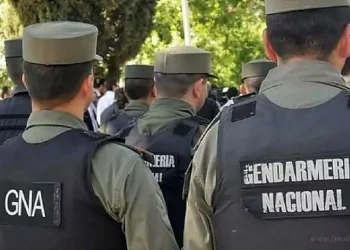 Z7qjqlwmyjaftcya3i6t5t7vvq