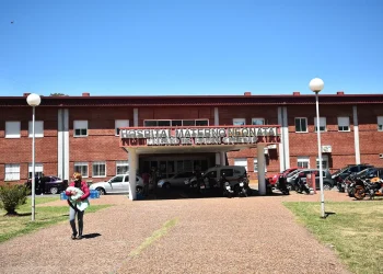 Zdkebmoaf5es7lj4zfy2ptfgnu