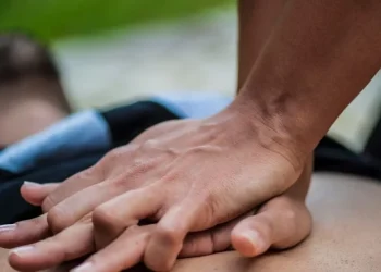 Skn8lvu8q 1256x620 2 1140x562