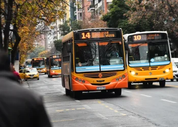 Colectivo uta