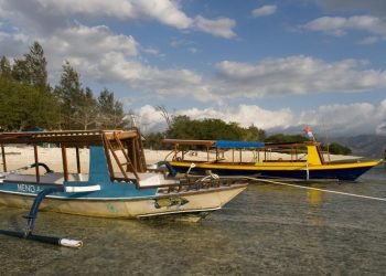 8de87ec5 8b52 48d9 9f58 ce3494738d02 alta libre aspect ratio default 0