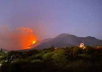 Whatsapp image 2023 07 24 at 20.15.58