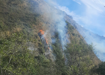 Image 929 e1690748551825