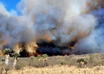 360 2023 08 24t072757.172