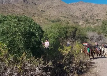 360 2023 08 31t093145.717