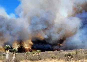 360 2023 08 31t093445.078