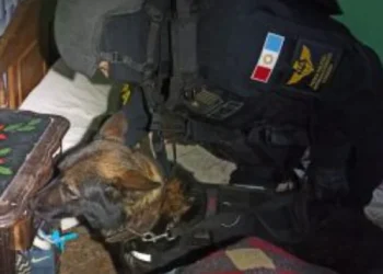 360 2023 09 12t083130.078