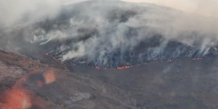 Incendio potrero de g 1140x641
