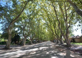 268 av de jm en baja 1536x1025