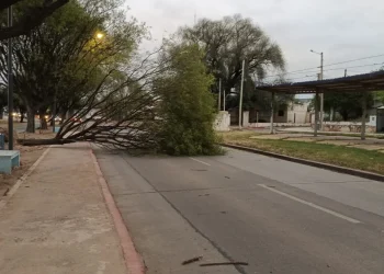 720 2023 10 30t082442.797