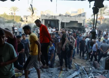 801430054 236758843 1706x960