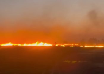 Imagen de whatsapp 2023 10 10 a las 20.40.28 23de3ec6