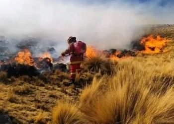 Whatsapp image 2023 10 26 at 19.16.25 1