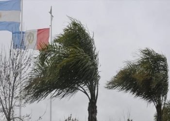 F800x450 88940 140386 5050