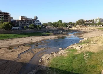 360 2023 11 14t080320.666