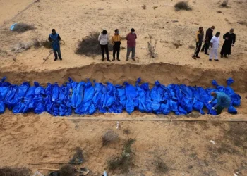 360 2023 11 23t071829.199