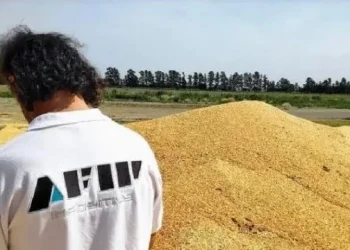 360 2023 11 28t073449.349