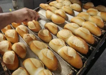 360 2023 11 29t081259.361