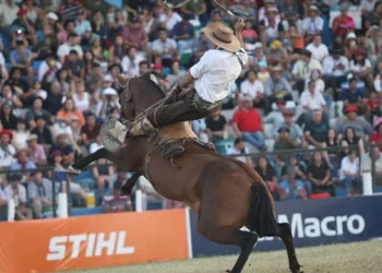 360 2023 11 30t080351.406