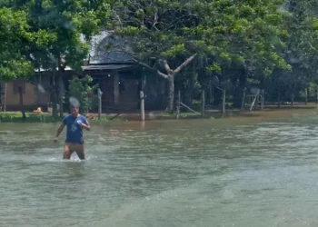 720 2023 11 01t052331.324