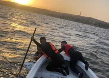 720 2023 11 08t080421.319