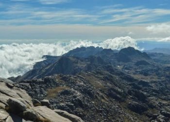 Archi 617891 750x469