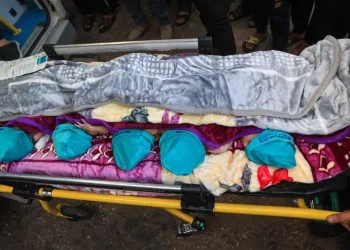 Bebs palestinos en una camilla listos para ser evacuados foto 679197702 760x520