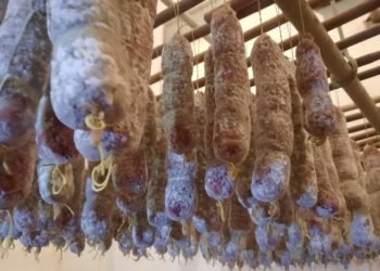 Salame colonia caroya 1 medium size