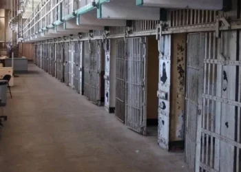 360 2023 12 13t075941.252