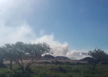 360 2024 01 05t074125.083