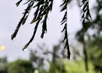 360 2024 01 09t075046.123