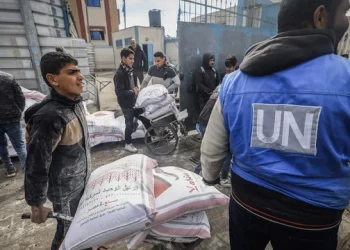 360 2024 01 29t072244.037