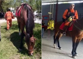 360 2024 01 29t074026.977