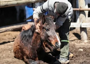 720 2024 01 12t100910.121