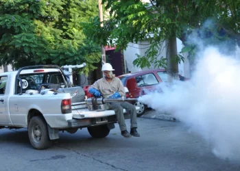 720 2024 02 02t110225.644