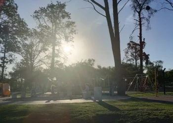 720 2024 02 06t080933.619