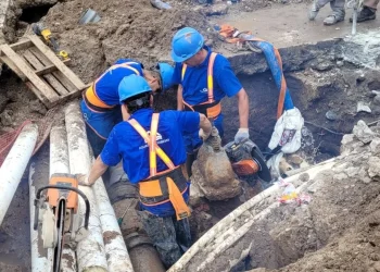 720 2024 02 08t081735.946