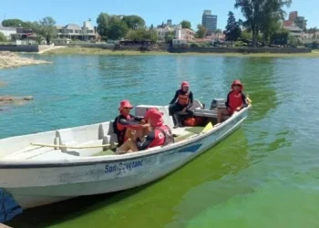 720 2024 02 16t082335.967