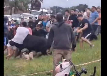 720 2024 02 23t080336.496