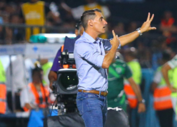 Tamano foto web 2024 02 20t000413.183 750x274