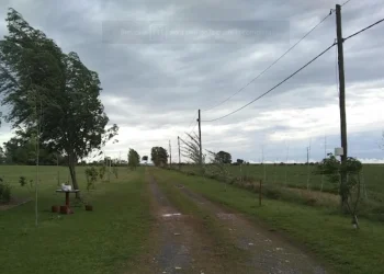 720 2024 03 18t072946.819