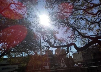 720 2024 03 21t075755.214