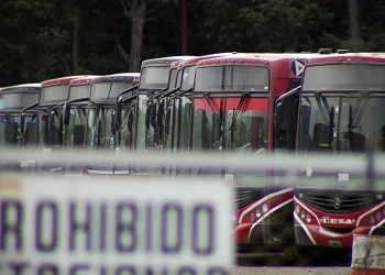 720 2024 03 21t080245.188