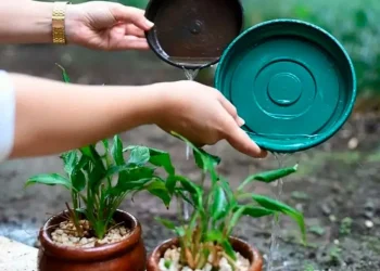 720 2024 03 26t074242.446