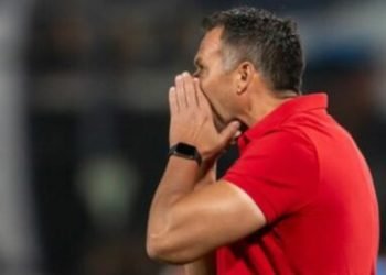 Tamano foto web 1 35 750x274