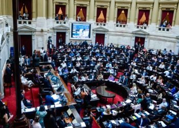 1010x567 diputados ley bases 481806 124136